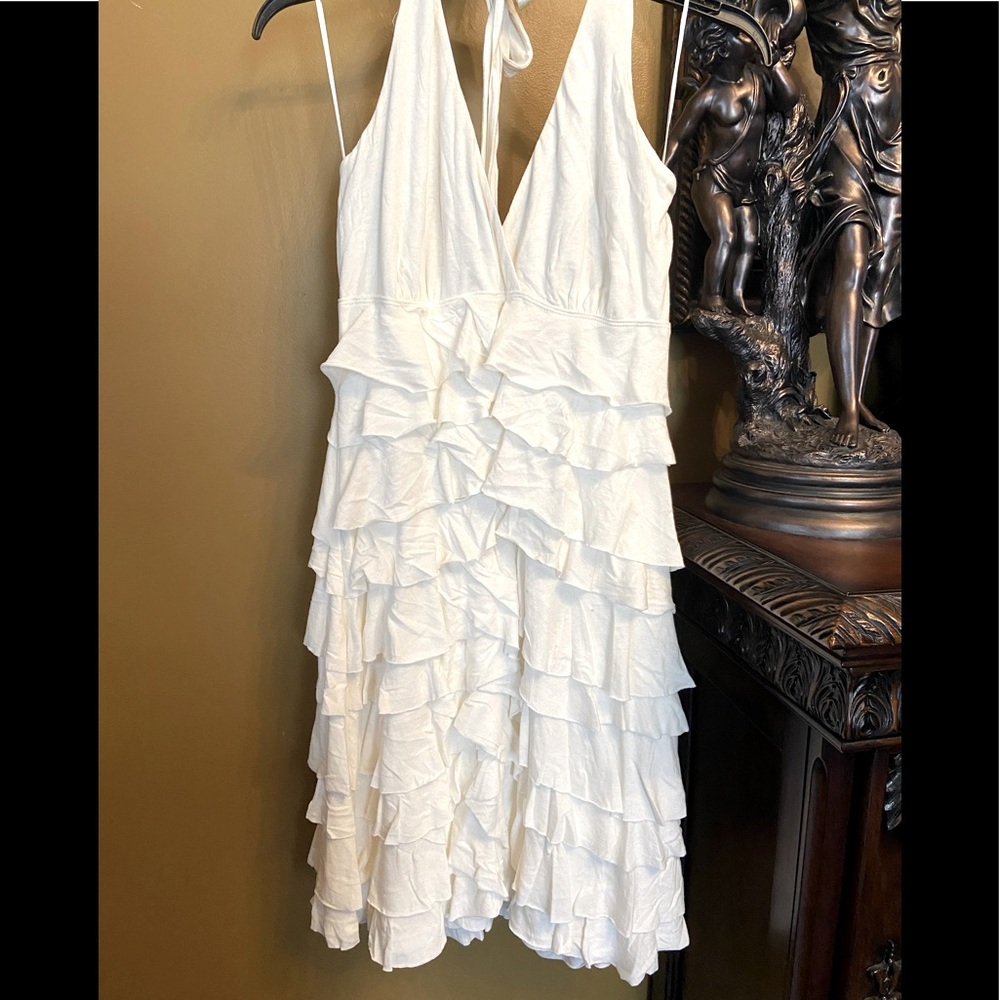 Express Ruffles Dress